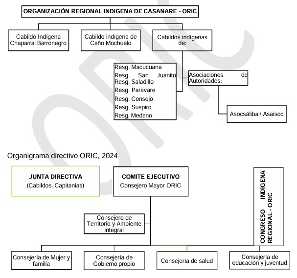 ORGANIGRAMA ORIC